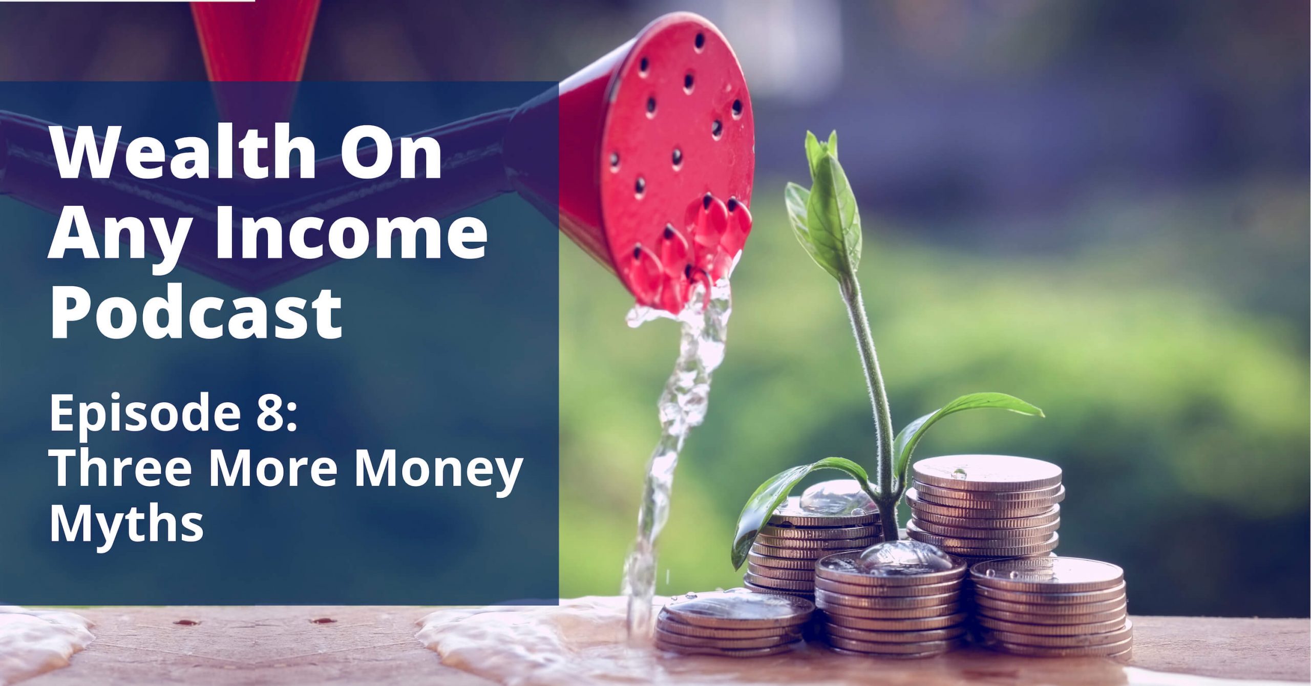 Wealth On Any Income - Podcast Episode 8